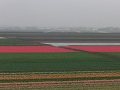Keukenhof